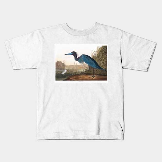 Blue Crane or Heron from Birds of America (1827) Kids T-Shirt by WAITE-SMITH VINTAGE ART